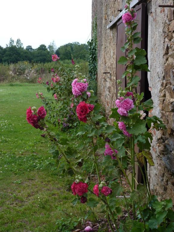 Chambres D'Hotes Le Chateau Rouge Saint-Germain-sur-Moine Bagian luar foto